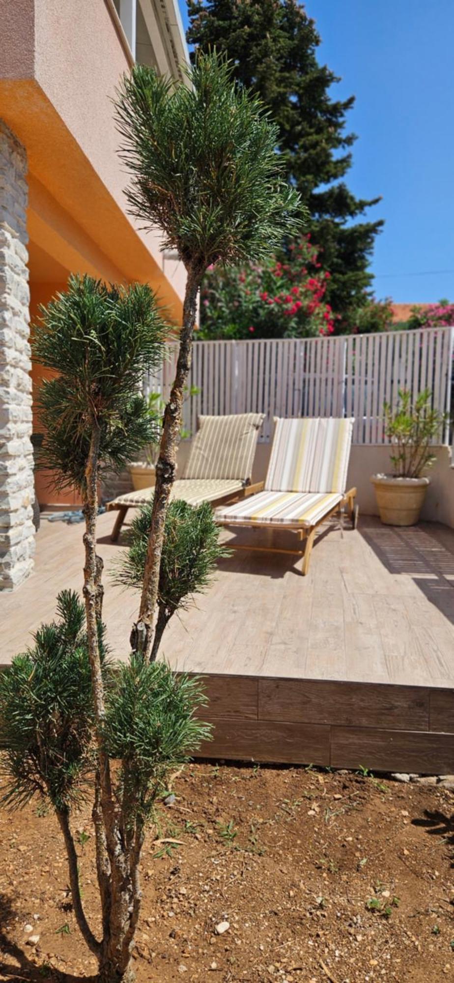 House Tereza Apartment Водице Стая снимка
